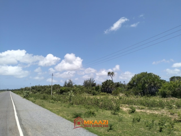 40 acres of land for sale in Bora Imani