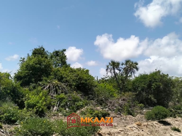 Prime 5 Acres for Sale in Bora Imani, Hindi, Lamu County – KSh 25 Million