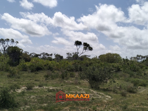 Prime 50 Acres for Sale in Magogoni, LAPSSET Corridor, Hindi, Lamu County – KSh 175 Million