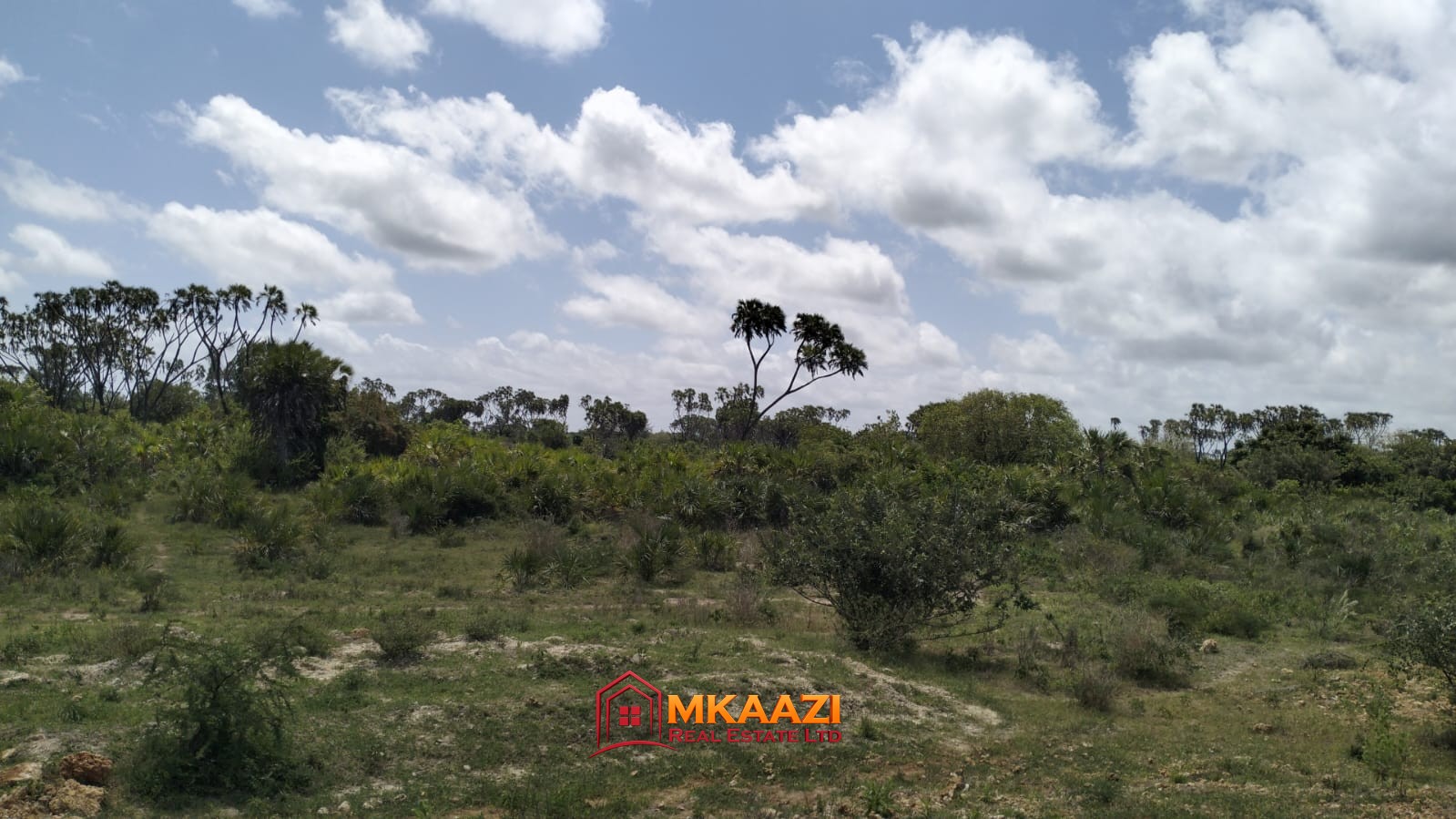 Prime 50 Acres for Sale in Magogoni, LAPSSET Corridor, Hindi, Lamu County – KSh 175 Million