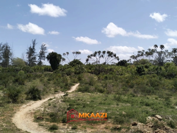 Prime 50 Acres for Sale in Magogoni, LAPSSET Corridor, Hindi, Lamu County – KSh 175 Million