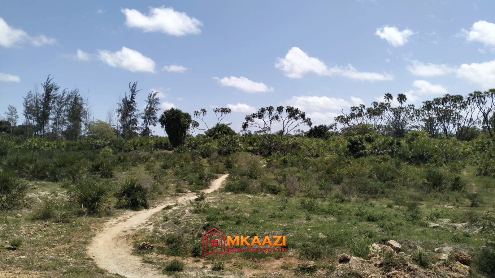 Prime 50 Acres for Sale in Magogoni, LAPSSET Corridor, Hindi, Lamu County – KSh 175 Million