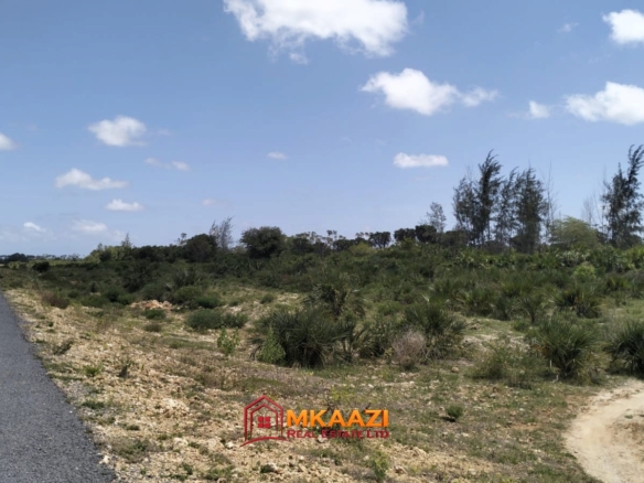 Prime 50 Acres for Sale in Magogoni, LAPSSET Corridor, Hindi, Lamu County – KSh 175 Million