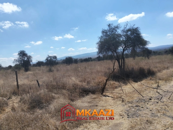 Prime 54-Acre Land for Sale on Muthwani Road, Mombasa Road – KSh 20M/Acre