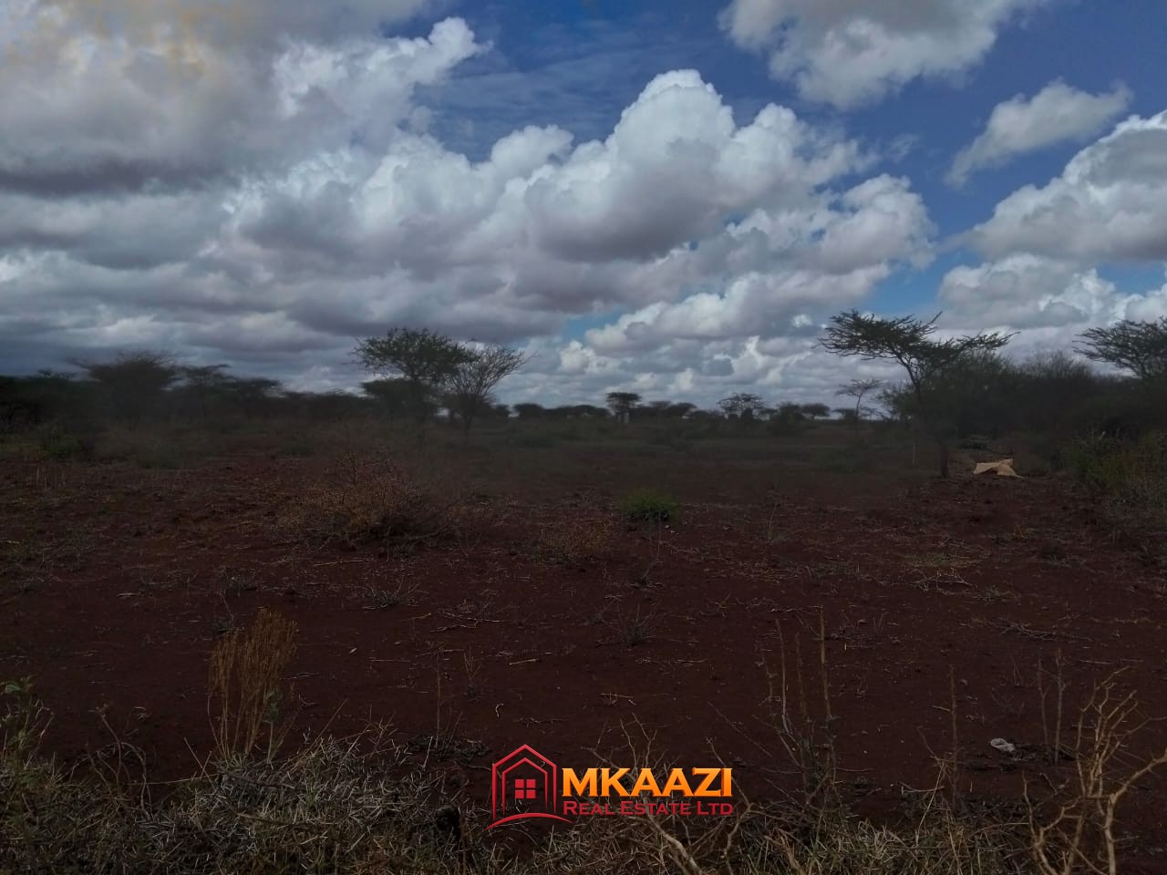 Affordable 7-Acre Land for Sale Between Kimana and Loitoktok, Kajiado County