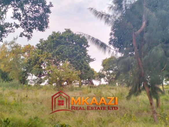 7-Acre Land for Sale in Furunzi, Malindi – Next to Airport | KES 4M/Acre