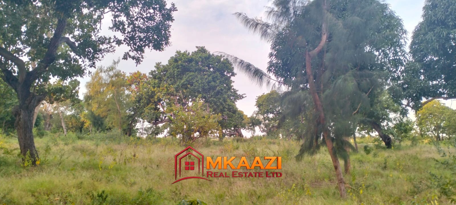 7-Acre Land for Sale in Furunzi, Malindi – Next to Airport | KES 4M/Acre