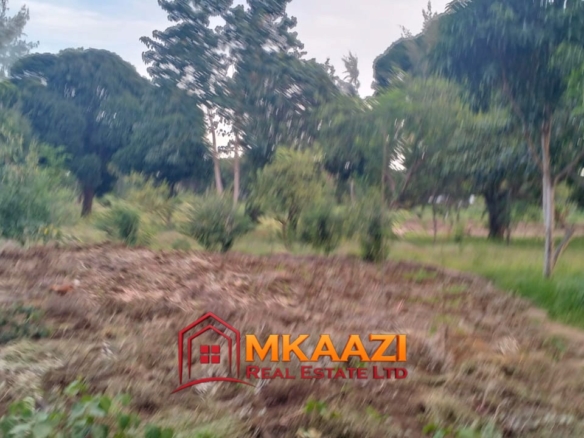 7-Acre Land for Sale in Furunzi, Malindi – Next to Airport | KES 4M/Acre