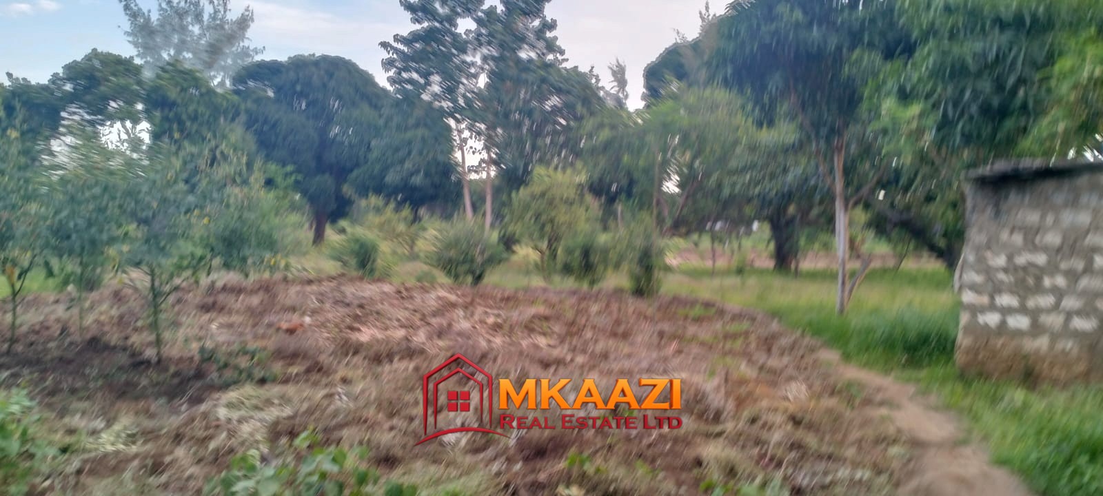 7-Acre Land for Sale in Furunzi, Malindi – Next to Airport | KES 4M/Acre
