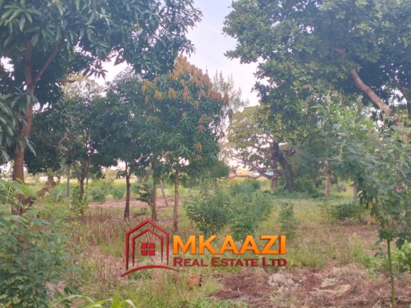 7-Acre Land for Sale in Furunzi, Malindi – Next to Airport | KES 4M/Acre