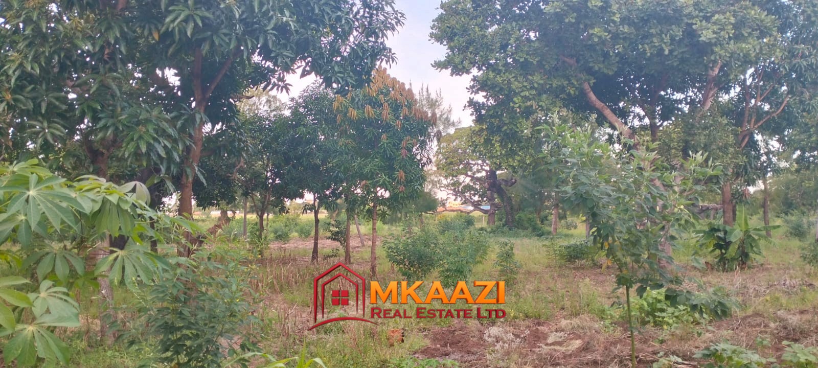 7-Acre Land for Sale in Furunzi, Malindi – Next to Airport | KES 4M/Acre