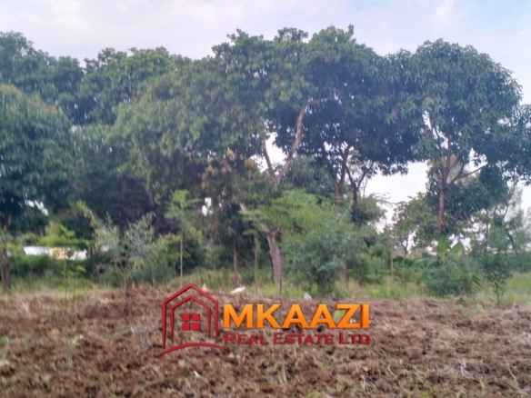 7-Acre Land for Sale in Furunzi, Malindi – Next to Airport | KES 4M/Acre