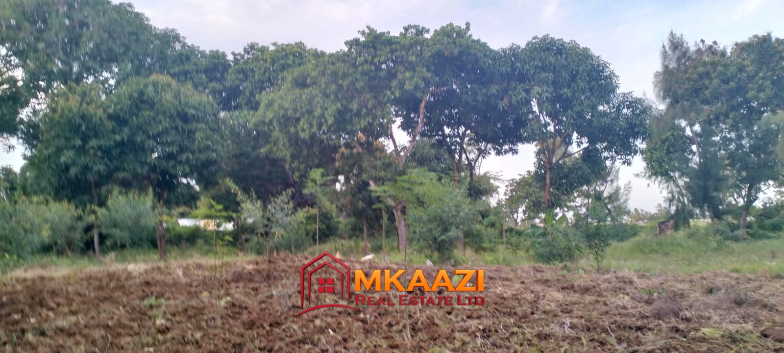 7-Acre Land for Sale in Furunzi, Malindi – Next to Airport | KES 4M/Acre