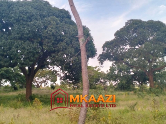 7-Acre Land for Sale in Furunzi, Malindi – Next to Airport | KES 4M/Acre
