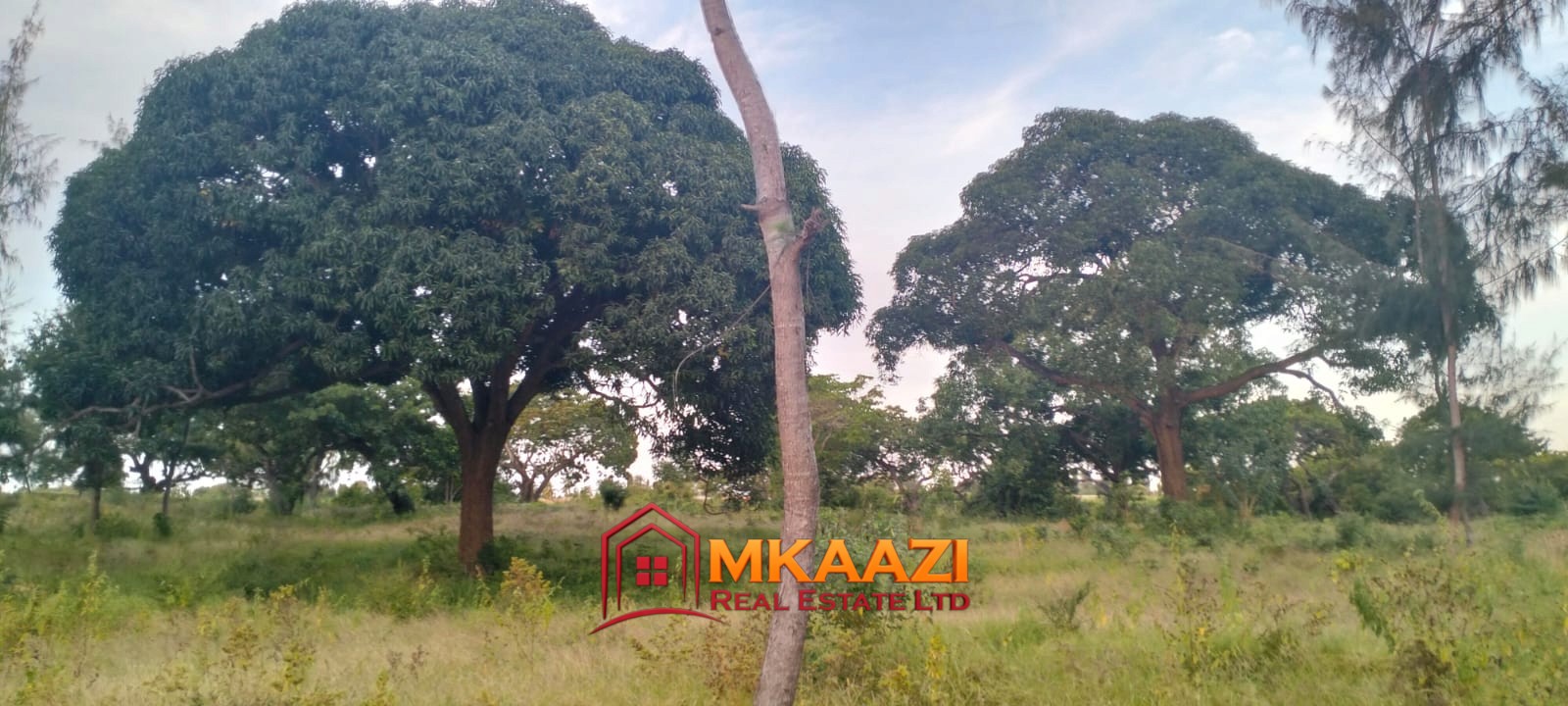 7-Acre Land for Sale in Furunzi, Malindi – Next to Airport | KES 4M/Acre