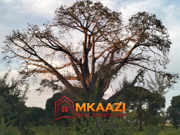 7-Acre Land for Sale in Furunzi, Malindi – Next to Airport | KES 4M/Acre