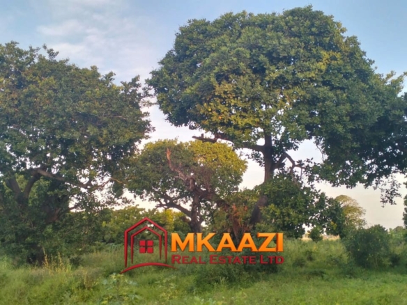 7-Acre Land for Sale in Furunzi, Malindi – Next to Airport | KES 4M/Acre