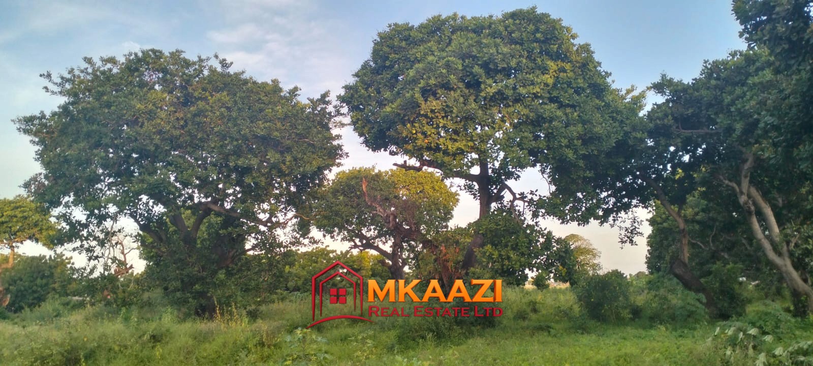 7-Acre Land for Sale in Furunzi, Malindi – Next to Airport | KES 4M/Acre