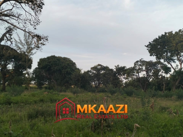 7-Acre Land for Sale in Furunzi, Malindi – Next to Airport | KES 4M/Acre