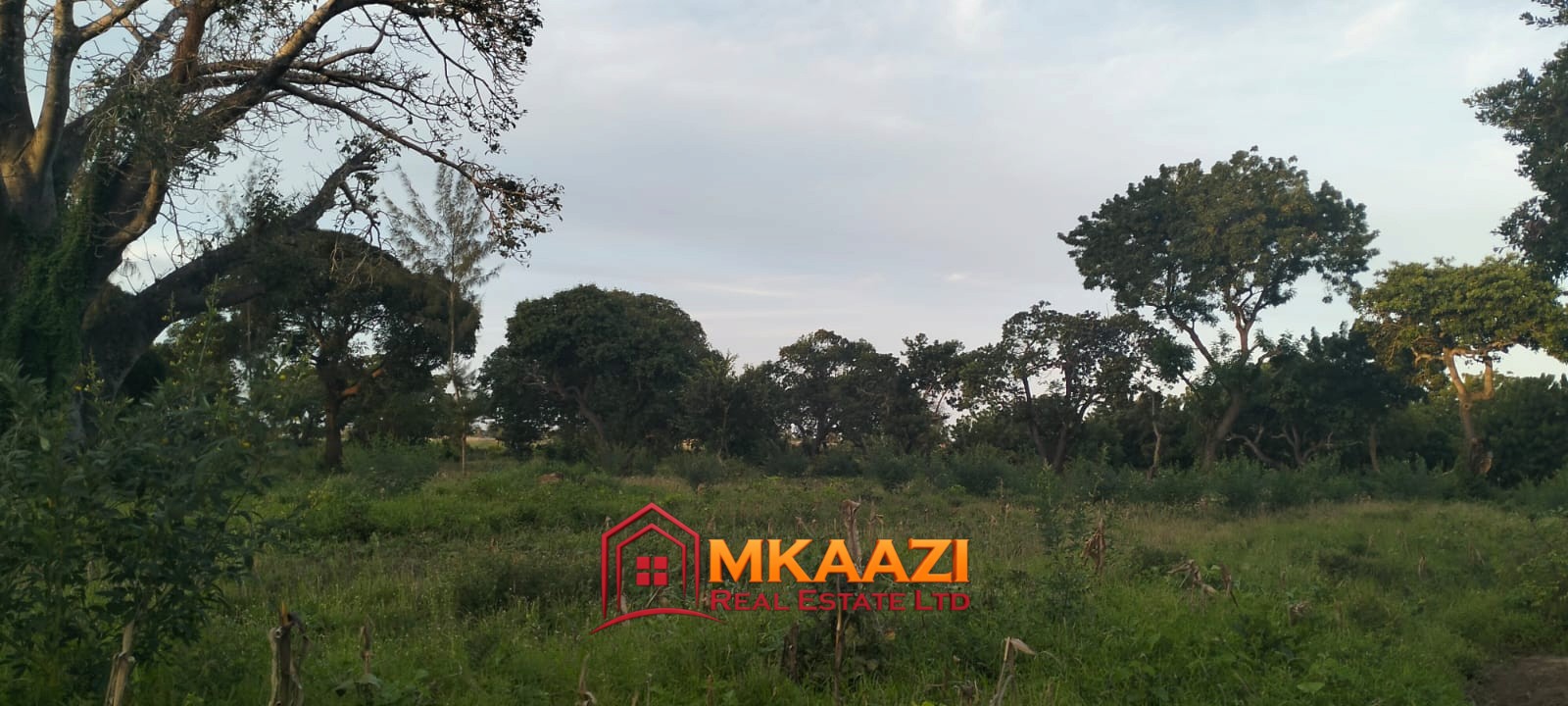 7-Acre Land for Sale in Furunzi, Malindi – Next to Airport | KES 4M/Acre