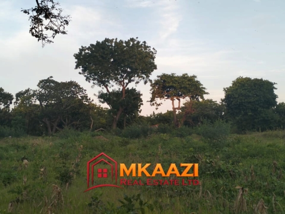 7-Acre Land for Sale in Furunzi, Malindi – Next to Airport | KES 4M/Acre