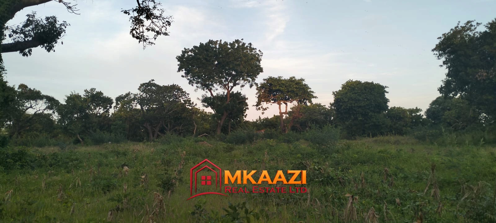 7-Acre Land for Sale in Furunzi, Malindi – Next to Airport | KES 4M/Acre
