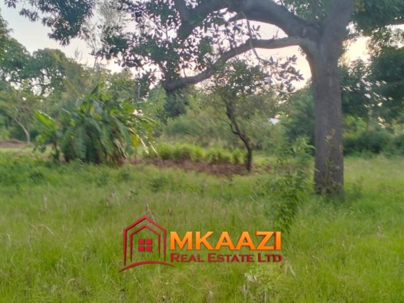 7-Acre Land for Sale in Furunzi, Malindi – Next to Airport | KES 4M/Acre