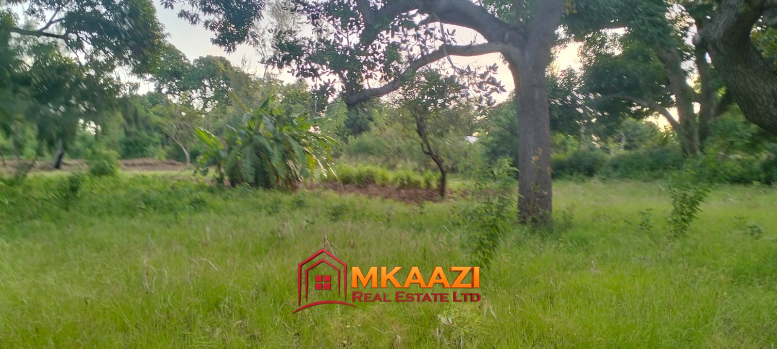 7-Acre Land for Sale in Furunzi, Malindi – Next to Airport | KES 4M/Acre