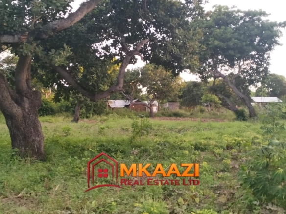 7-Acre Land for Sale in Furunzi, Malindi – Next to Airport | KES 4M/Acre