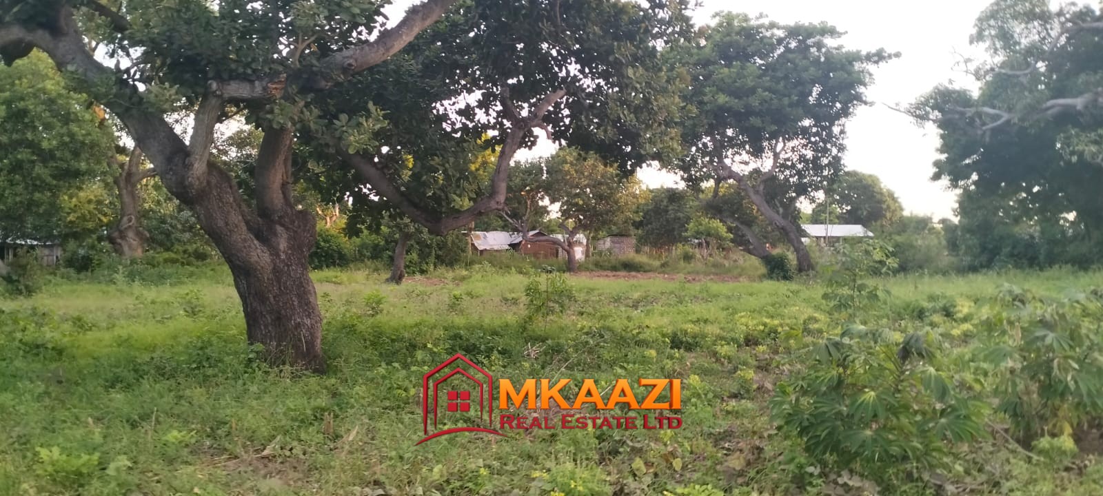 7-Acre Land for Sale in Furunzi, Malindi – Next to Airport | KES 4M/Acre