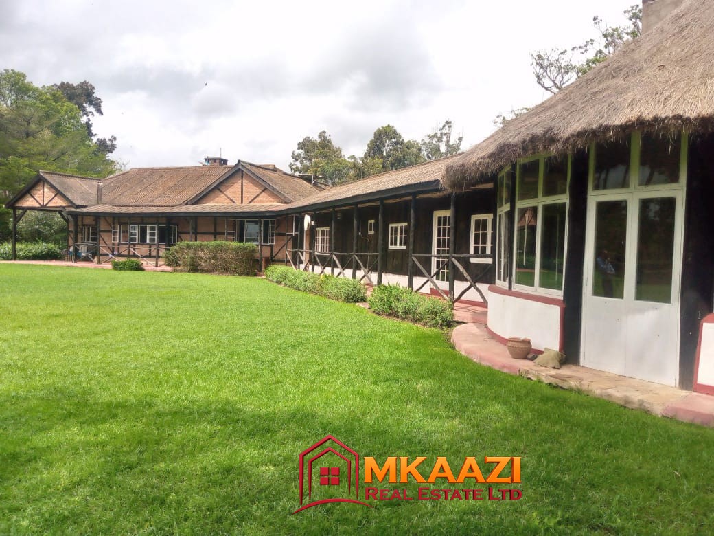 86 Acres (2) Resort and 86-acre land investment opportunity in Lamuria