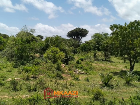 25 Acres of Freehold Land for Sale in Hindi, Lamu County – Lamu Road Frontage, KSh 9 Million per Acre