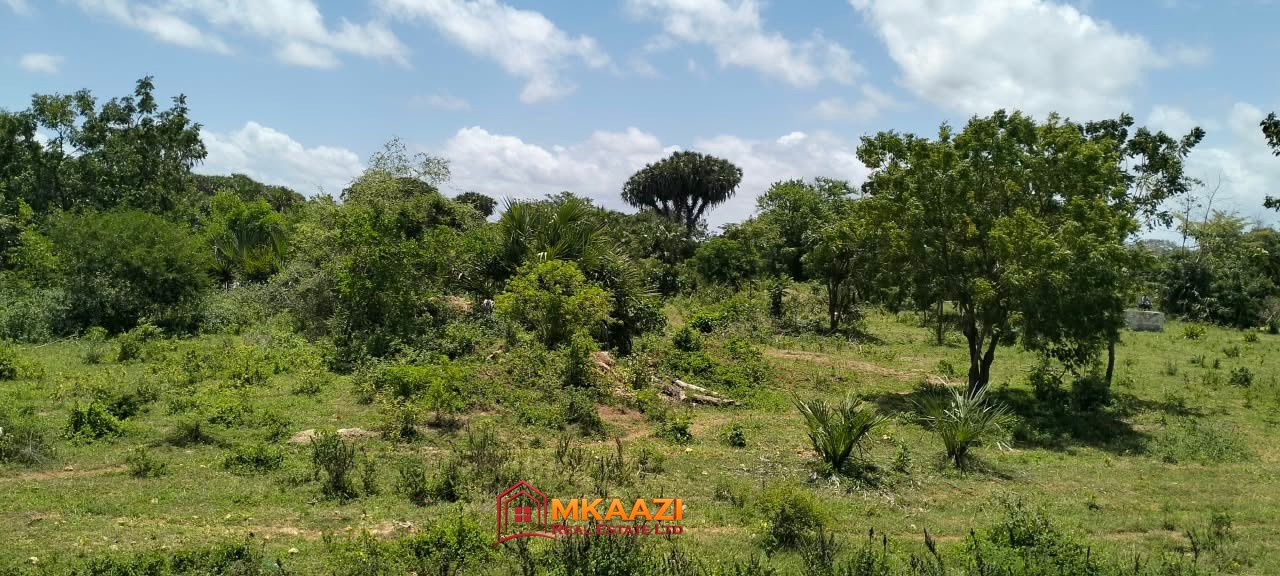 25 Acres of Freehold Land for Sale in Hindi, Lamu County – Lamu Road Frontage, KSh 9 Million per Acre