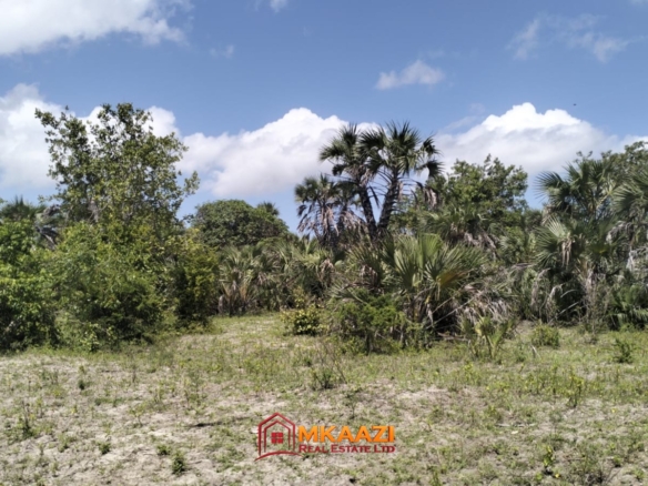 9 Acres for sale in Lamu, Hindi, Near LAPSSET Road