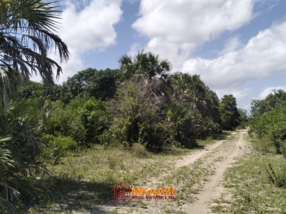 9 acres for sale in Jipe, Hindi, Lamu County, near Hindi town and the LAPSSET corridor. Mature trees, ready title deed, KSh 2M per acre.