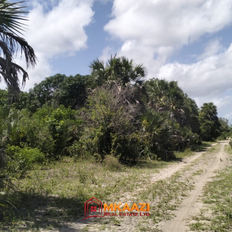 9 acres for sale in Jipe, Hindi, Lamu County, near Hindi town and the LAPSSET corridor. Mature trees, ready title deed, KSh 2M per acre.