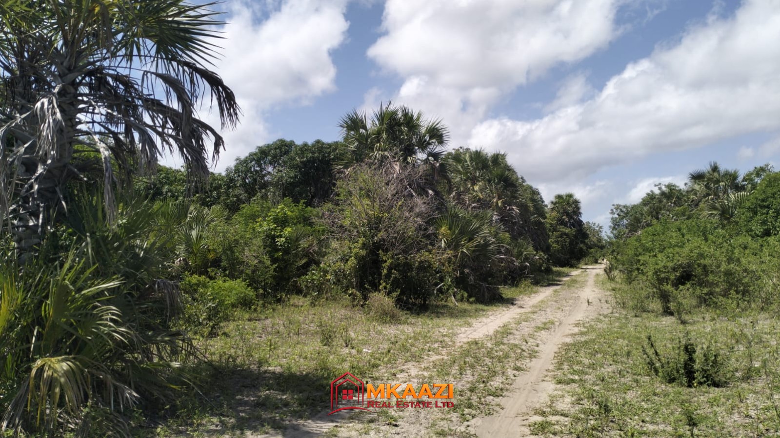 9 acres for sale in Jipe, Hindi, Lamu County, near Hindi town and the LAPSSET corridor. Mature trees, ready title deed, KSh 2M per acre.