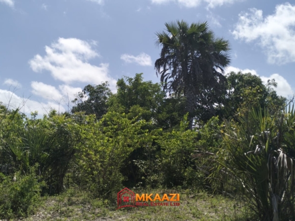 9 Acres for sale in Lamu, Hindi, Near LAPSSET Road