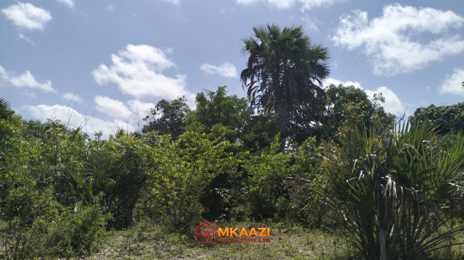 9 Acres for sale in Lamu, Hindi, Near LAPSSET Road