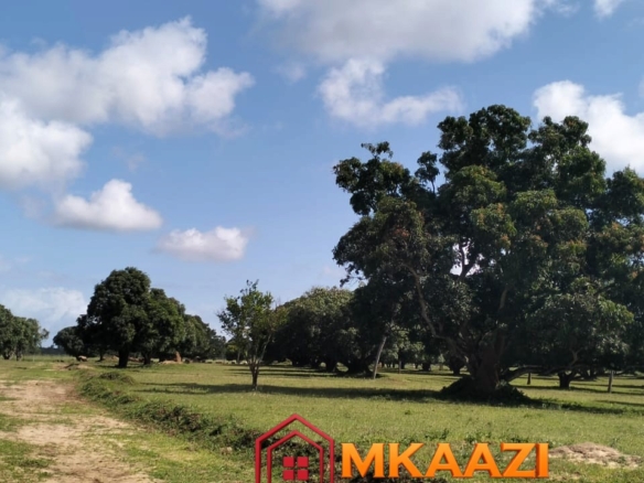 50×100 Plot for Sale in Airport View, Malindi – KES 1.25M