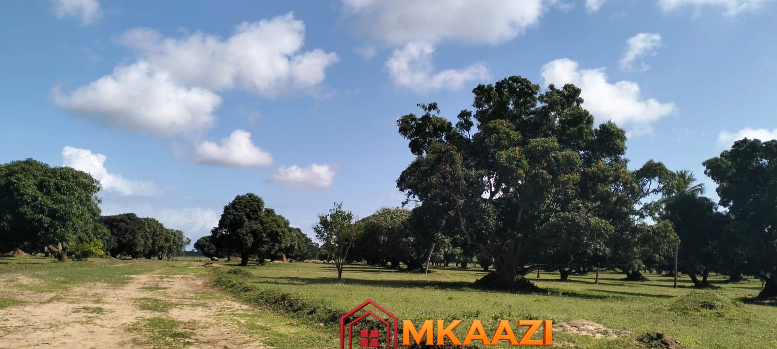 AirPort View (2) 50×100 Plot for Sale in Airport View, Malindi – KES 1.25M