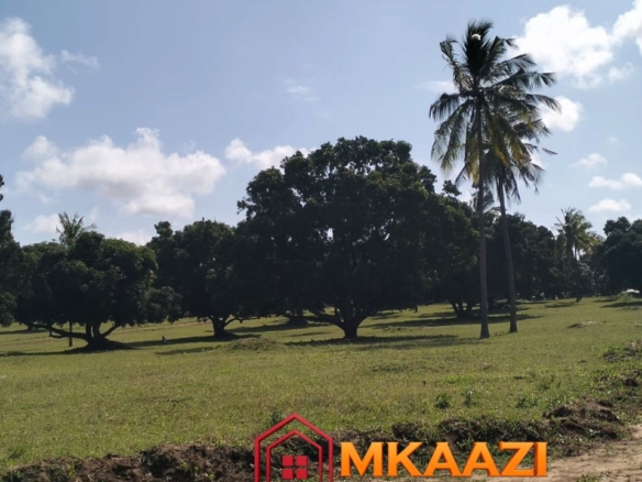 50×100 Plot for Sale in Airport View, Malindi – KES 1.25M
