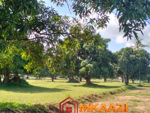 50×100 Plot for Sale in Airport View, Malindi – KES 1.25M