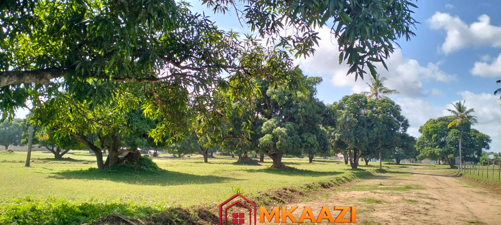 AirPort View (5) 50×100 Plot for Sale in Airport View, Malindi – KES 1.25M