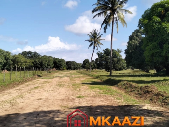 50×100 Plot for Sale in Airport View, Malindi – KES 1.25M