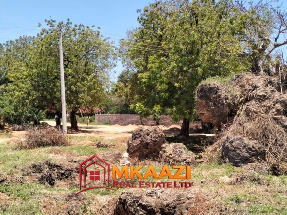 50×100 Plot for Sale in Malindi Off Casuarina Road – KSh 2.65 Million