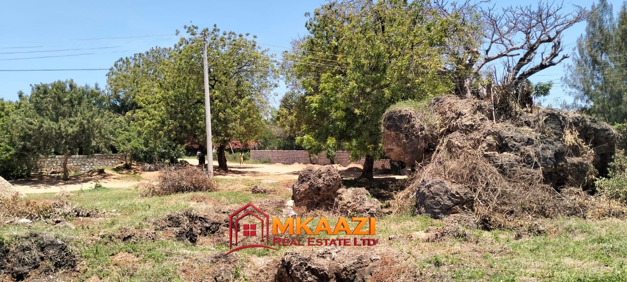 50×100 Plot for Sale in Malindi Off Casuarina Road – KSh 2.65 Million
