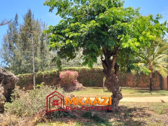50×100 Plot for Sale in Malindi Off Casuarina Road – KSh 2.65 Million
