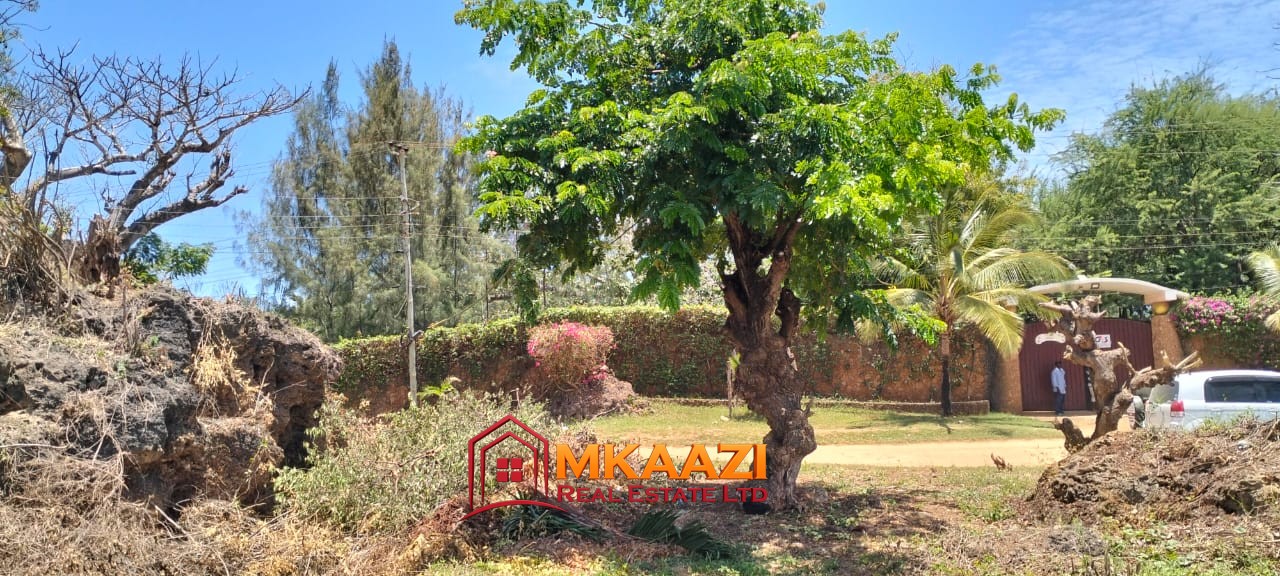 50×100 Plot for Sale in Malindi Off Casuarina Road – KSh 2.65 Million