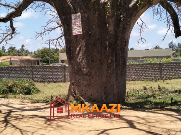 50×100 Plot for Sale in Malindi Off Casuarina Road – KSh 2.65 Million